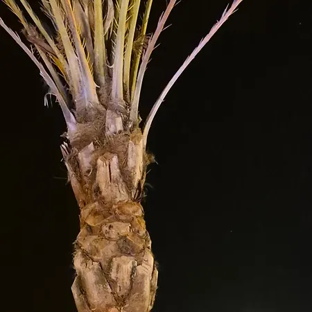 La Tana Dei Marinai Apartamento